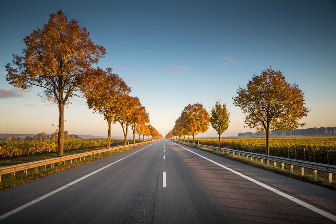 Vilnius Names Poland as One of Its War-Evacuation Routes
