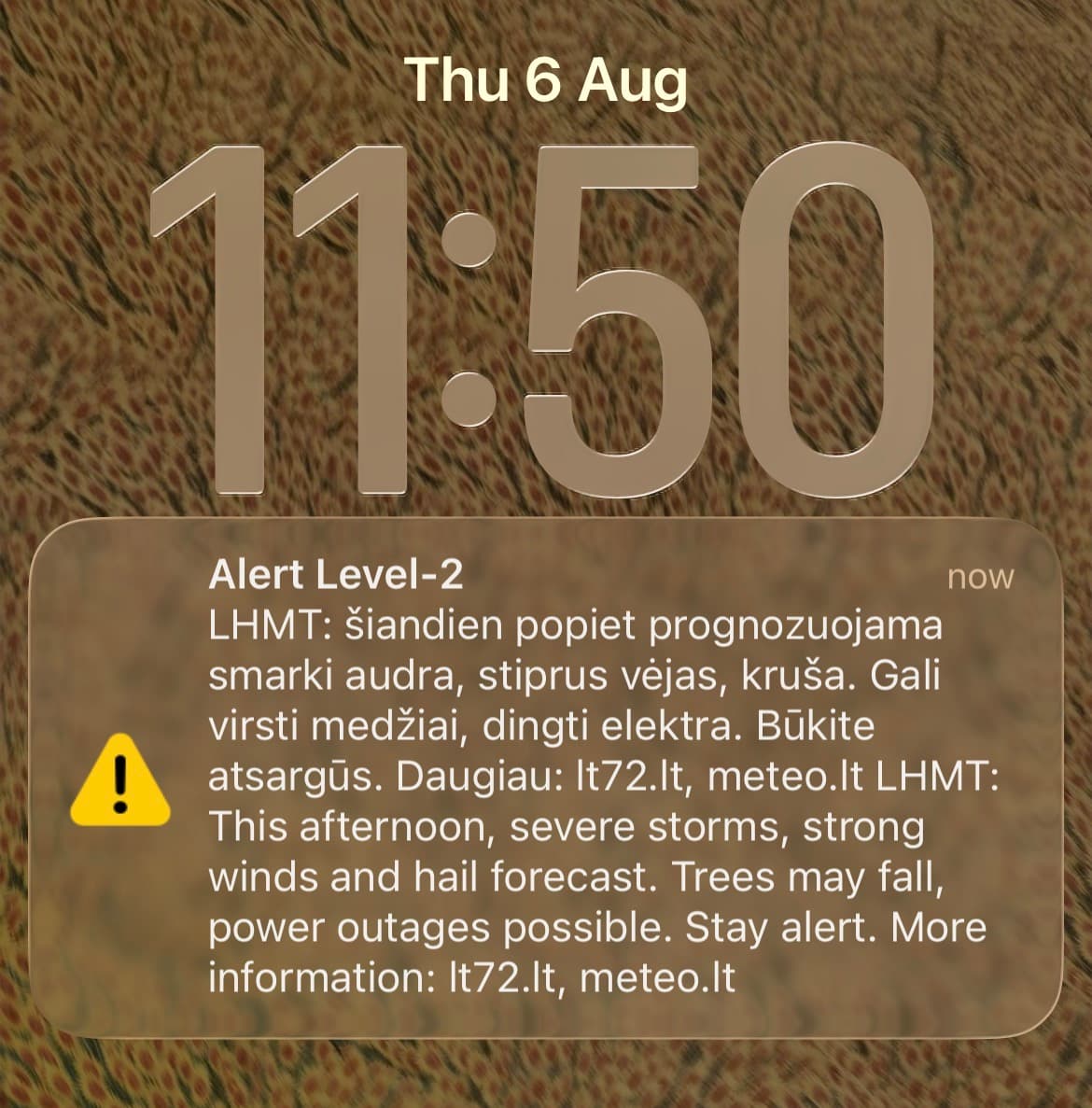 Why Lithuania's Storm Alerts Follow Backlash, Not Just Risk