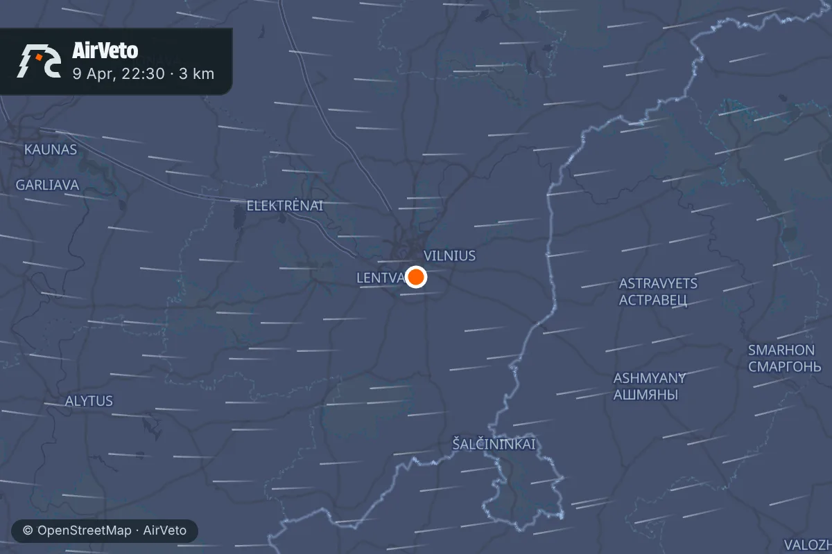Wind at the time of: Balloons close Vilnius airport for almost seven hours